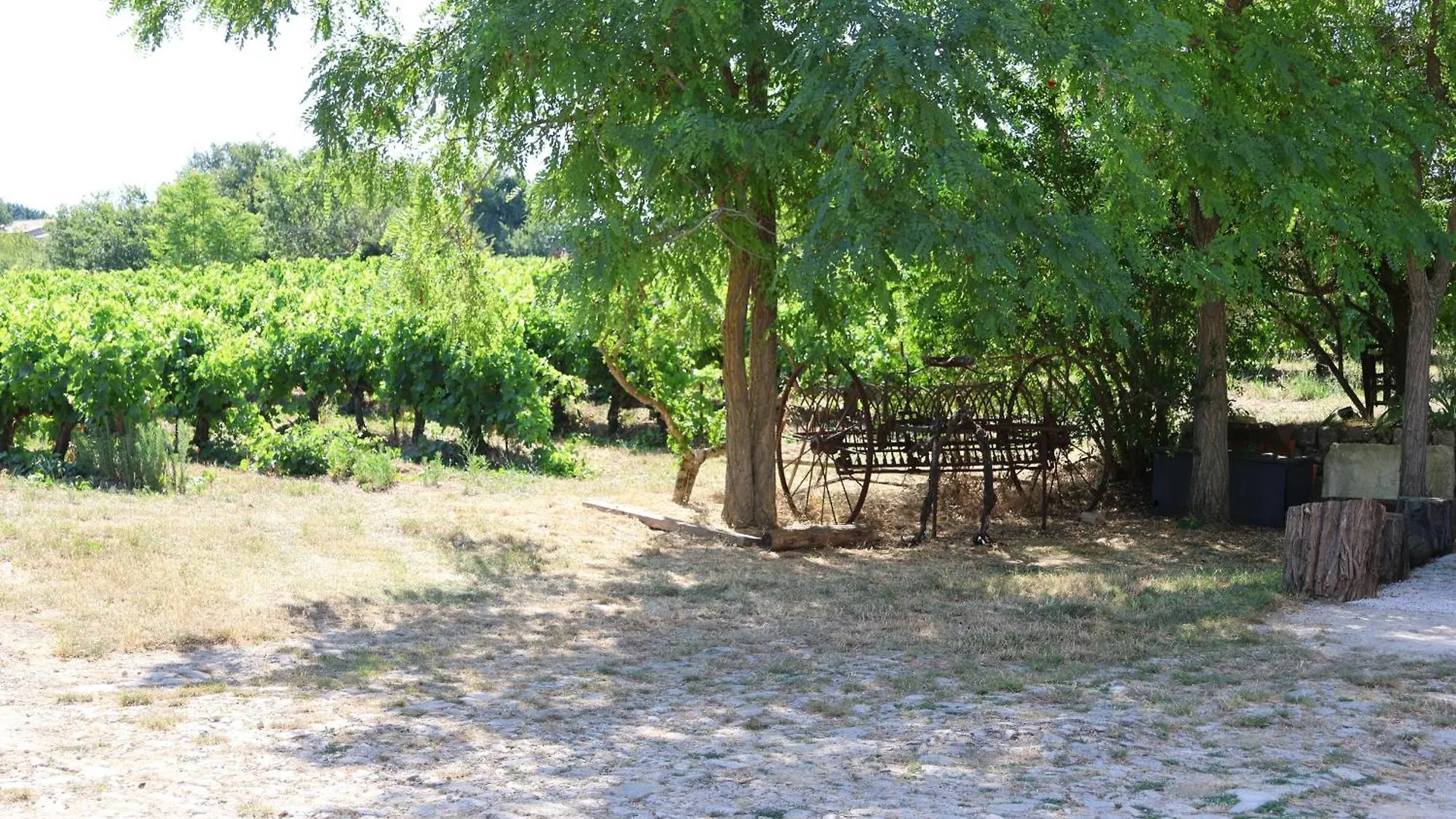Les Bruns Διαμέρισμα Saignon Γαλλία